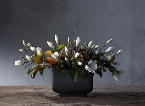 Light warms from the left, some buds have opened, half-tones appear on the petals. The fabric texture of the flower beco