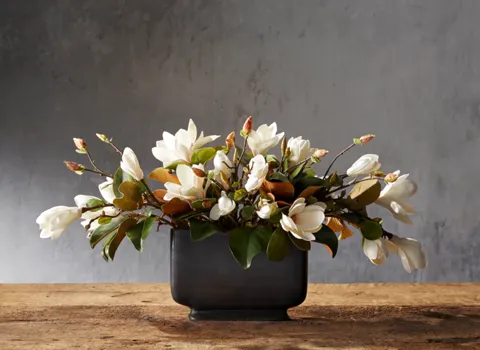 The finale in daylight: the magnolia is open, the rust-coloured undersides of the leaves and the relief of the bronze ar
