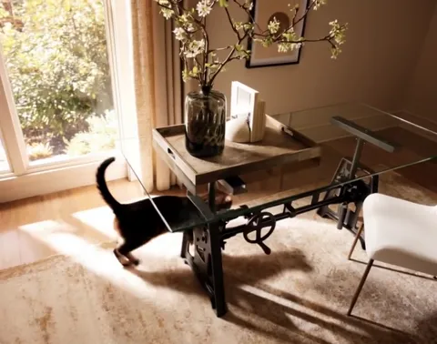 The cat walks under the desk. The clear top does not hide it — and at the same time shows the whole structure of the bas