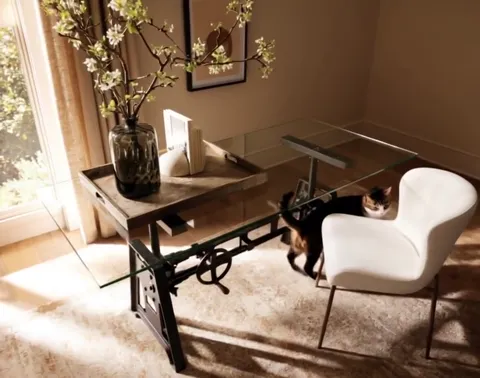 The finale: the cat by the chair, the desk behind it entire. Six seconds have shown the desk and what is under it — an a