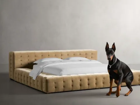 Further back, a doberman enters and stands at the foot. The dog is nearly level with the rail — exact scale for a bed ot