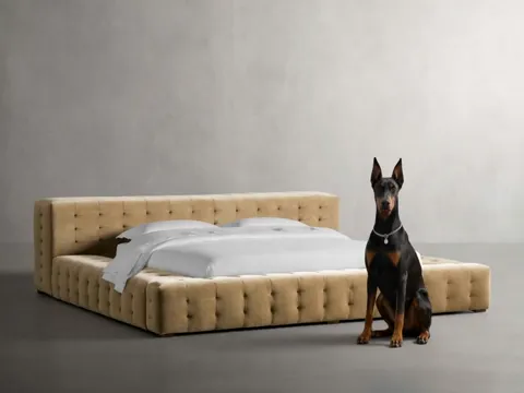The finale: the bed entire, the dog beside it. Five seconds have travelled from the texture of the buttoning to the foot