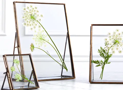 Three glass frames lean on a marble shelf: slim brass edging, dried flower heads pressed between two panes. The wall beh
