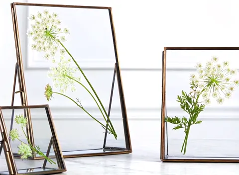 The light shifts and the glass catches a highlight. The frame is double-glazed and transparent right through — the wall 
