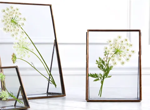The finale: three frames of different sizes in one shot. Five seconds have shown the transparency and the size relations