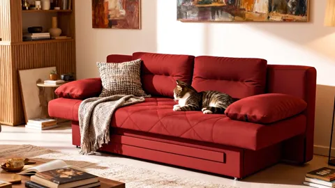 The finale: fully open, the cat still lying there. Eight seconds have shown the mechanism and the fact that the opened s