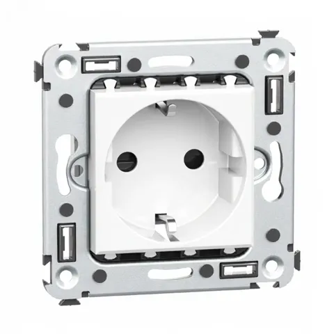The White Cloud mechanism almost face-on in its metal frame: two pin holes, the earthing clips above and below.