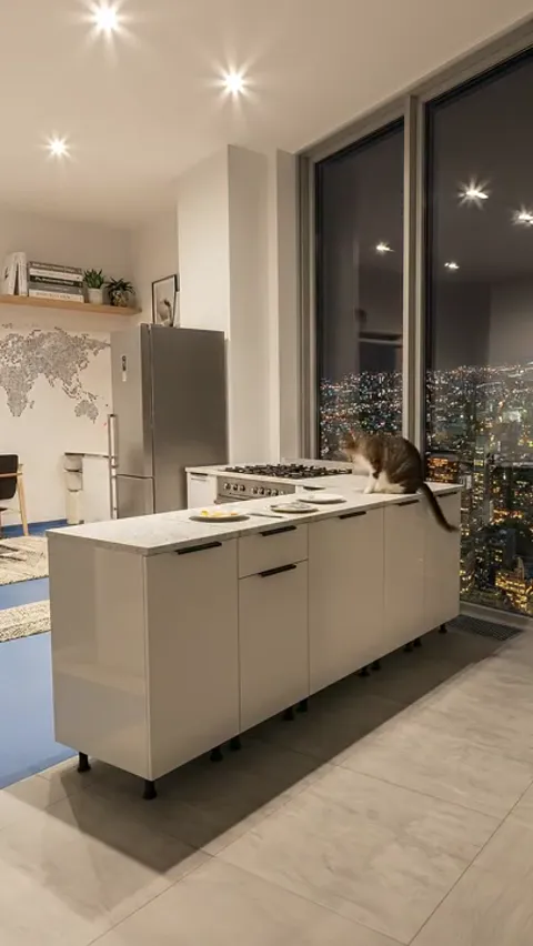 The finale: night, and a cat jumps onto the counter. Eight seconds of time-lapse have shown the kitchen as the still axi