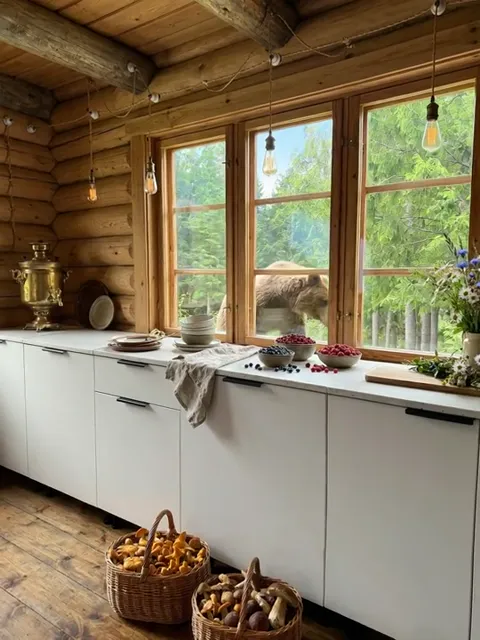 A bear appears outside the window. The absurdity arrives quietly; the kitchen stays centred and in focus.