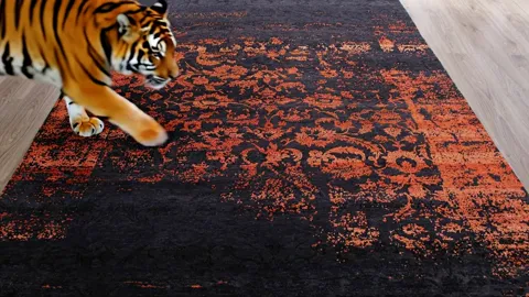 The rug lies on a pale wooden floor: a dark field with a rust-coloured oriental ornament worn to a blur. A tiger enters 