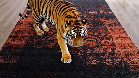 The tiger steps onto the rug and walks toward the camera. Its rust matches the ornament in tone — showing that the patte