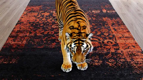 The tiger at the centre, paws on the ornament. The animal takes up about a third of the length — exact scale without a s