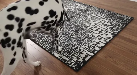 The rug lies on a wooden floor: a black and white field with a fine graphic pattern like a case of printing type. A dalm