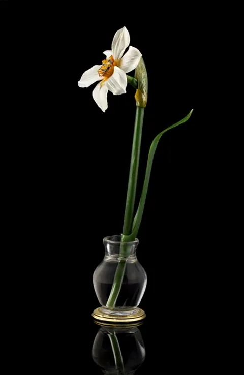 The finale: two flowers on one stem, water in the vase. Ten seconds have shown a jewelled object the way a museum films 