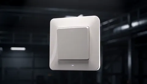 The finale: the switch square in frame, the background in deep shadow. Four seconds were enough to show what an electric