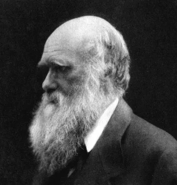 Photographic portrait of Charles Darwin, 1868, by Julia Margaret Cameron